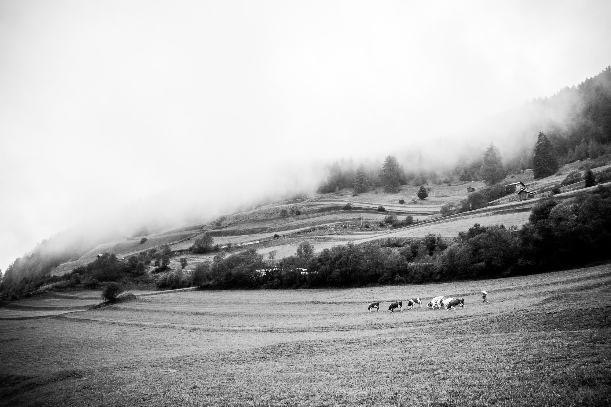 Export x3 5D4 0225 Fotoshooting 2018 Annette & Mike Nauders 3